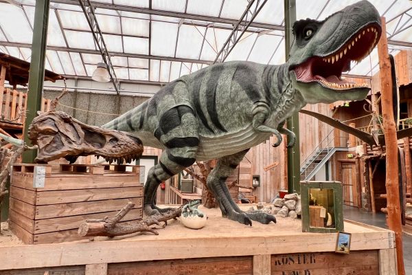 Dino Expo