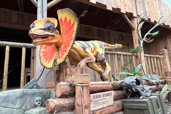 Dino Expo