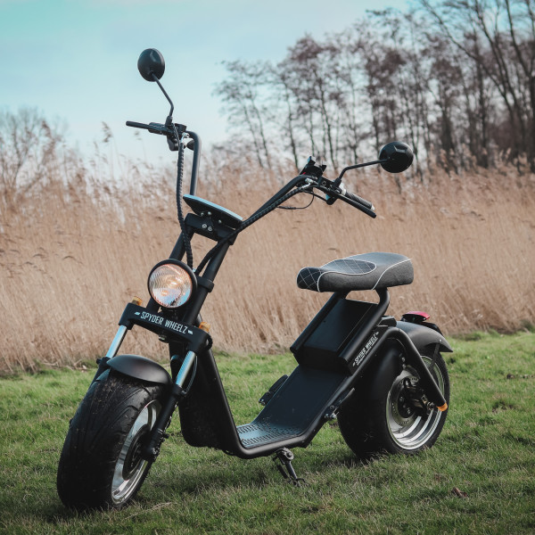 Stoere E-chopper