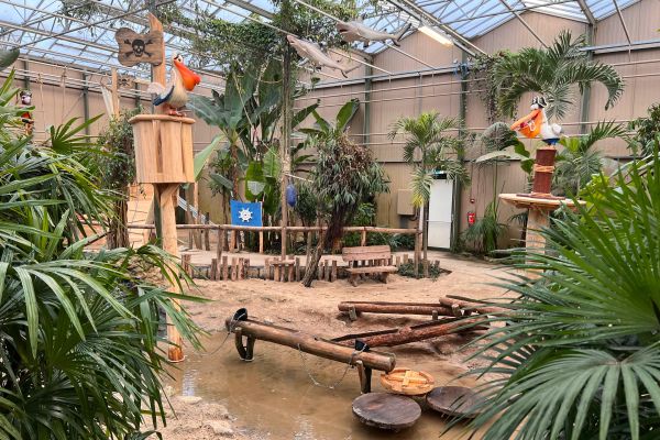 Kids Jungle