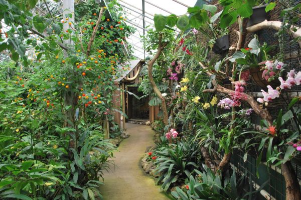 Tropical Zoo